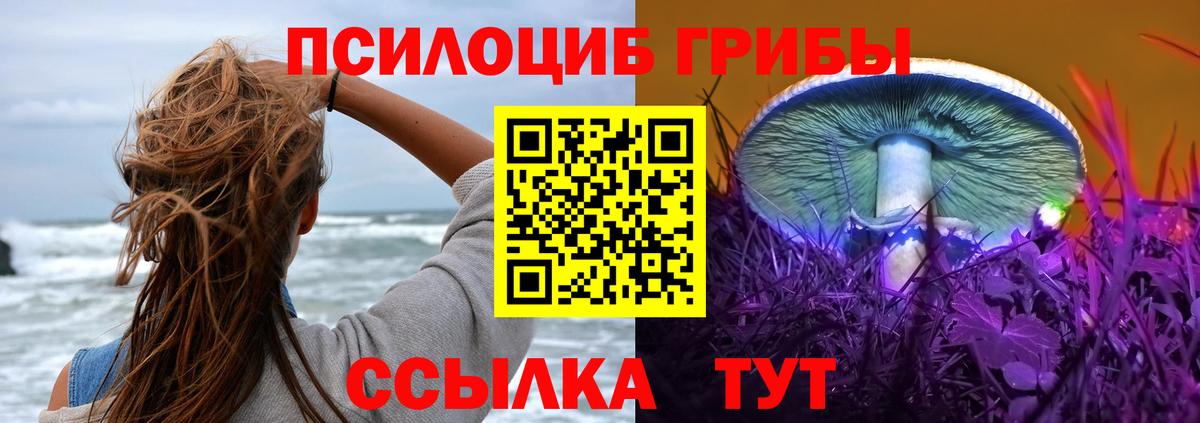 Галлюциногенные грибы Cubensis  Вход с VPN  Асино 